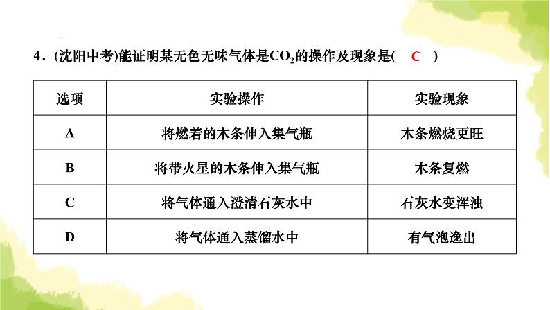 人教版九年级化学上册课题3二氧化碳和一氧化碳第1课时二氧化碳课件05