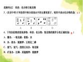 人教版九年級化學(xué)上冊第四單元高頻考點訓(xùn)練與易錯易混突破課件