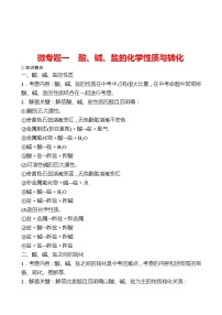 微专题一　酸、碱、盐的化学性质与转化 同步练习2021-2022 鲁教版 化学九年级 全一册