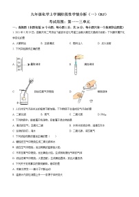 河南省洛阳市偃师区2022-2023学年九年级上学期第一次月考化学试题