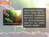 人教版九年級(jí)化學(xué)上冊(cè)課件 6.2 二氧化碳制取的研究
