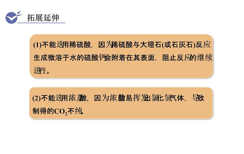 人教版九年级化学上册课件 6.2 二氧化碳制取的研究08