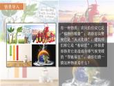 人教版九年級化學(xué)上冊課件 6.3.1 二氧化碳