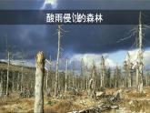 人教版九年级化学上册课件 7.2.2 使用燃料对环境的影响 能源的利用和开发