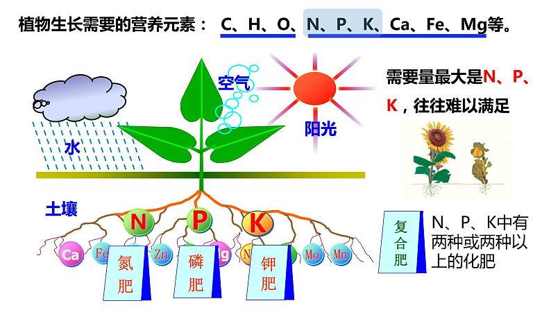 人教版初中化学九年级下册第十一单元 课题2  化学肥料   课件05