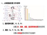 人教版初中化学九年级下册第十二单元 课题2  人体健康与化学元素课件