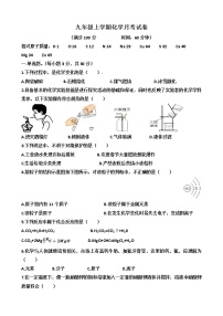 山东省济南市天桥区泺口实验学校2022-2023学年九年级上学期化学第一次月考试卷（含答案）