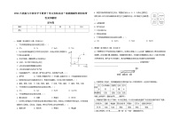 初中化学人教版九年级下册第十单元 酸和碱实验活动7 溶液酸碱性的检验达标测试