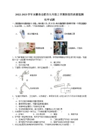 安徽省合肥市西递中学2022-2023学年九年级上学期阶段性质量监测化学试题（含答案）