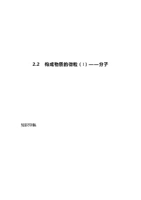 2021学年2.2 构成物质的微粒（Ⅰ）——分子课时作业