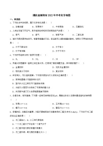 湖北省襄阳市2022年中考化学真题解析版