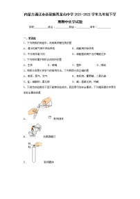 内蒙古通辽市奈曼旗青龙山中学2021-2022学年九年级下学期期中化学试题(含答案)