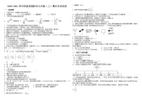 2020-2021学年河南省洛阳市九年级（上）期中化学试卷