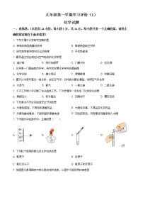 河南省周口市鹿邑县2022-2023学年九年级上学期学习评价（1）化学试题(含答案)