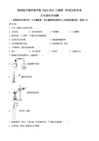 重庆市南岸区教科院巴蜀实验学校2022-2023学年九年级上学期第一次定时作业化学试题(含答案)