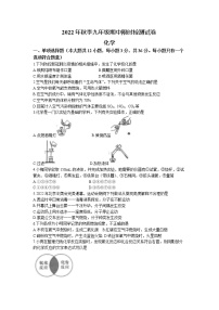 湖南省长沙市长郡教育集团2022-2023学年九年级上学期期中化学试题(含答案)