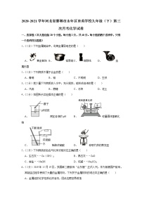 2020-2021学年河北省邯郸市永年区育英学校九年级（下）第三次月考化学试卷_