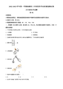 天津市西青区杨柳青第三中学2022-2023学年九年级上学期期中化学试题(含答案)