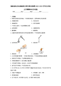 湖南省长沙市湖南师大附中教育集团2022-2023学年九年级上学期期中化学试题(含答案)