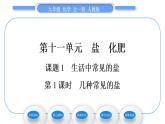 人教版九年级化学第十一单元盐　化肥课题1生活中常见的盐第1课时几种常见的盐习题课件