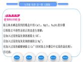 人教版九年级化学第十一单元盐　化肥实验活动8粗盐中难溶性杂质的去除习题课件
