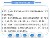 人教版九年级化学第十一单元盐　化肥实验活动8粗盐中难溶性杂质的去除习题课件