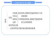 人教版九年级化学第九单元溶液第九单元复习与提升习题课件