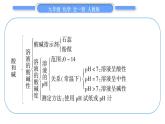 人教版九年级化学第十单元酸和碱人教版九年级化学第十单元酸和碱第十单元复习与提升习题课件习题课件