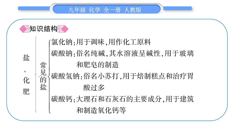 人教版九年级化学第十一单元盐　化肥第十一单元复习与提升习题课件第2页