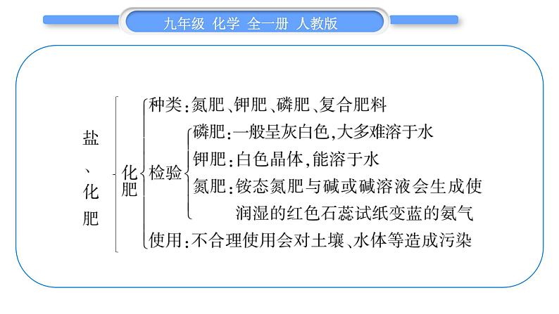 人教版九年级化学第十一单元盐　化肥第十一单元复习与提升习题课件第4页