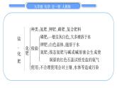 人教版九年级化学第十一单元盐　化肥第十一单元复习与提升习题课件