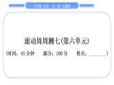 人教版九年级化学单元周周测七(第六单元)习题课件