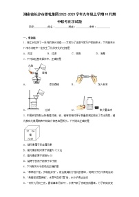 湖南省长沙市雅礼集团2022-2023学年九年级上学期10月期中联考化学试题(含答案)