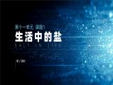 11.1. 2《 生活中常见的盐》（第2课时）课件  九下化学（人教版）