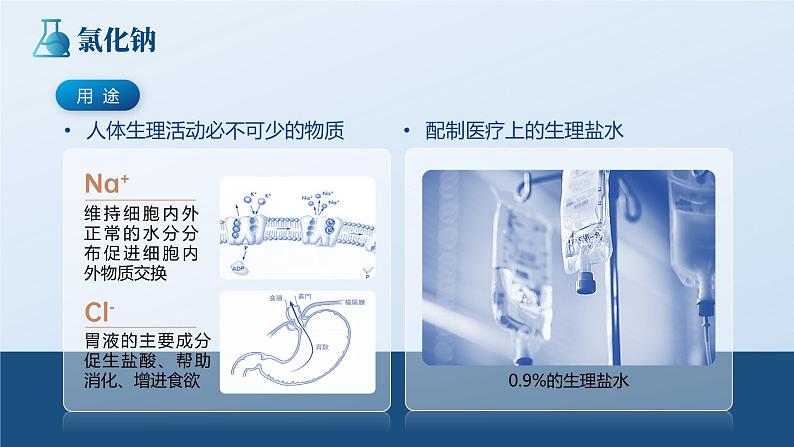 11.1.1 《生活中常见的盐》第1课时 课件+视频  九下化学（人教版）06