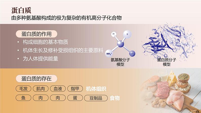 12.1 《人类重要的营养物质》课件  九下化学（人教版）03