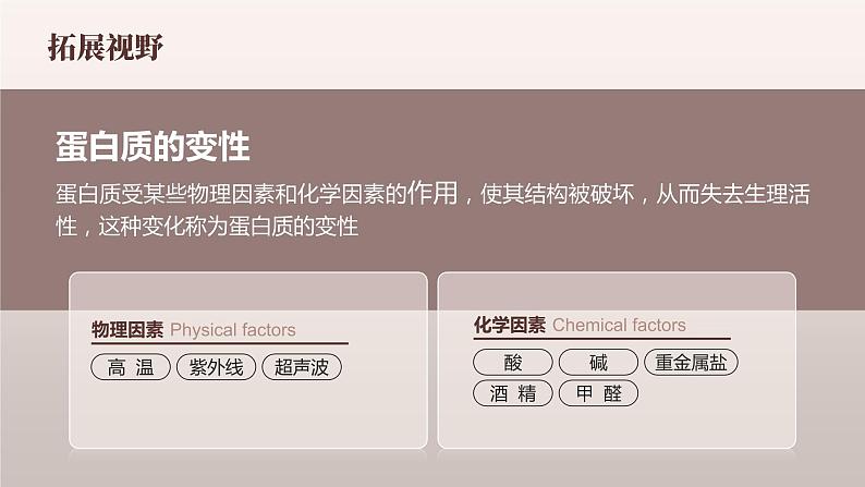 12.1 《人类重要的营养物质》课件  九下化学（人教版）08