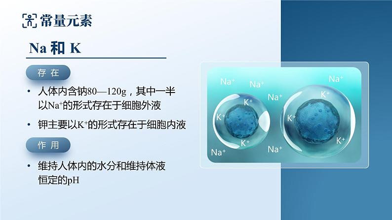 12.2 《化学元素与人体健康》课件+视频  九下化学（人教版）07