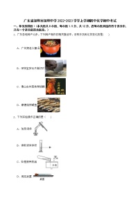 广东省深圳市深圳中学2022-2023学年九年级上学期期中考试化学试题(含答案)