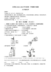 陕西省安康市汉阴县2022-2023学年九年级上学期期中化学试题(含答案)