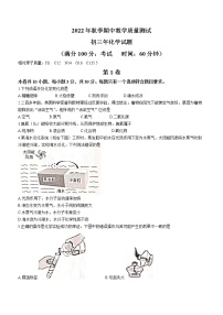 福建省泉州市南安市2022-2023学年九年级上学期期中化学试题(含答案)