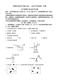 广东省深圳市罗湖区新华外国语学校2022-202学年九年级上学期期中化学试题(含答案)