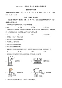 山东省青岛莱西市2022-2023学年九年级上学期期中化学试题(含答案)