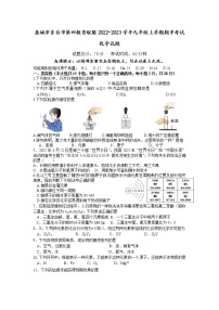 盐城市东台市第四教育联盟2022-2023学年九年级上学期期中考试化学试题（含答案）