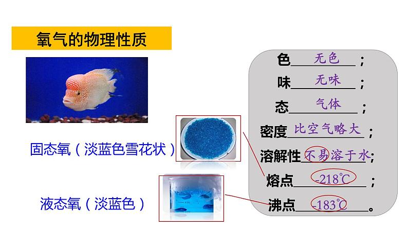 3.1氧气的性质和用途  课件 -2022-2023学年九年级化学科粤版上册04