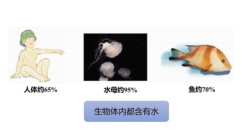 4.1 我们的水资源 第1课时 课件-2022-2023学年九年级化学科粤版上册第5页