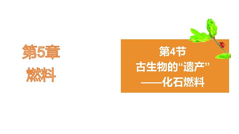 5.4古生物的“遗产”一化石 燃料 课件---2022-2023学年九年级化学科粤版01