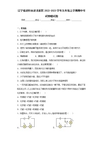 辽宁省沈阳市沈北新区2022-2023学年九年级上学期期中考试物理试题(含答案)