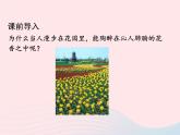 科粵版九年級(jí)化學(xué)上冊(cè)第二章空氣物質(zhì)的構(gòu)成課題2構(gòu)成物質(zhì)的微粒Ⅰ--分子課件