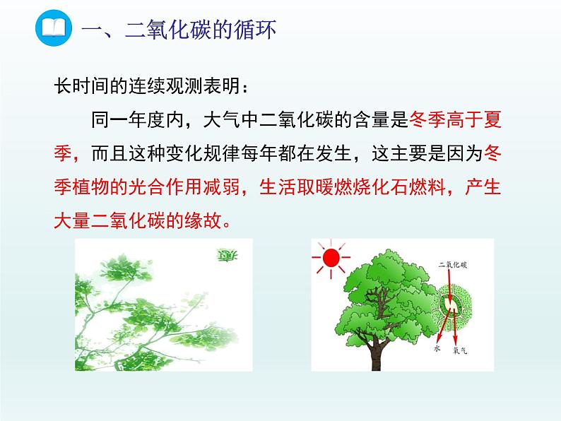 2022九年级化学上册第六单元燃烧与燃料第三节大自然中的二氧化碳课件（鲁教版）04